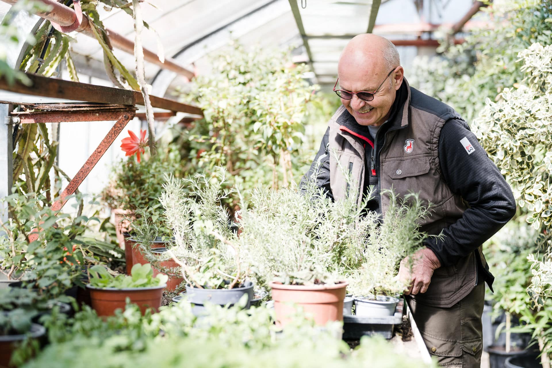Gartenleitung Friedrichsruhe Gewächshaus im Garten